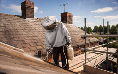 Roof Repair and Pest Control in North Miami Beach