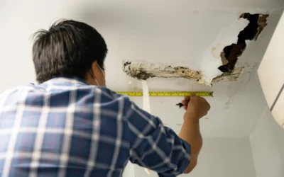 Why Are Roof Leaks a Major Cause of Indoor Mold and Air Quality Issues in North Miami Beach?