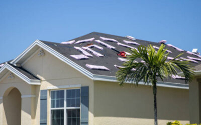 Roof Leak Repair in Allen Park, FL: Roof Repair vs Replacement Guide
